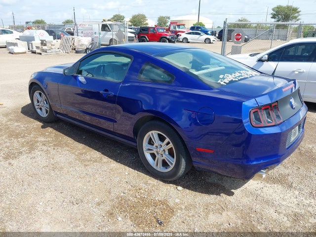 1ZVBP8AM7E5211837 Ford Mustang