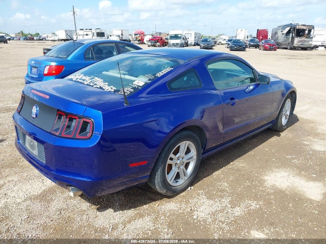 1ZVBP8AM7E5211837 Ford Mustang