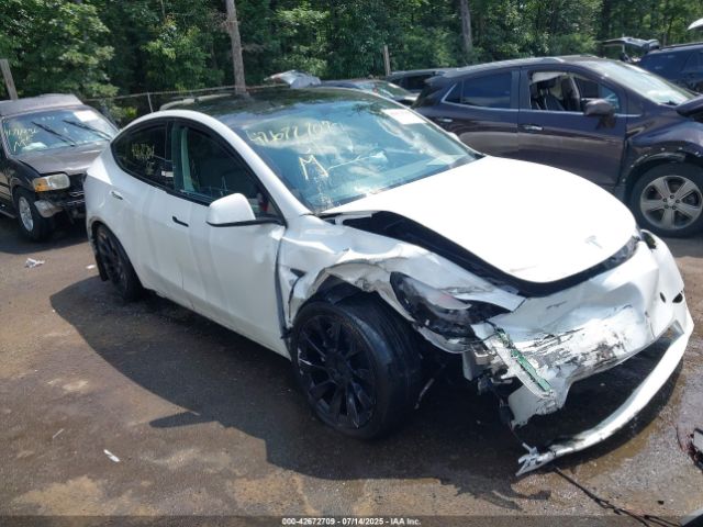 2023 TESLA MODEL Y 7SAYGAEE6PF709703 Photo 0