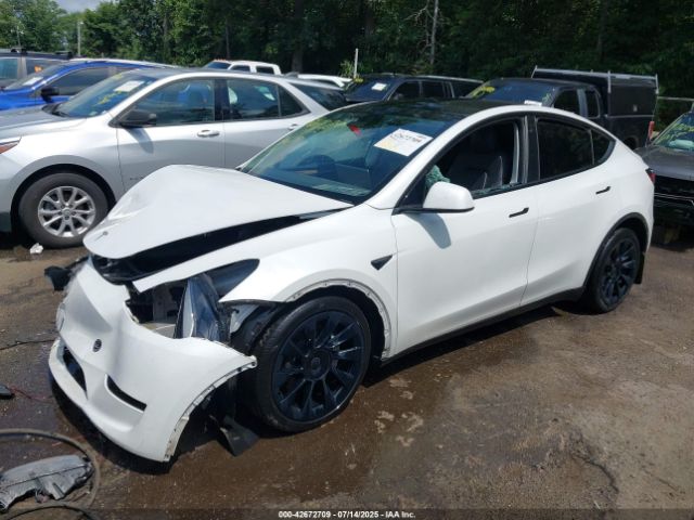 2023 TESLA MODEL Y 7SAYGAEE6PF709703 Photo 1