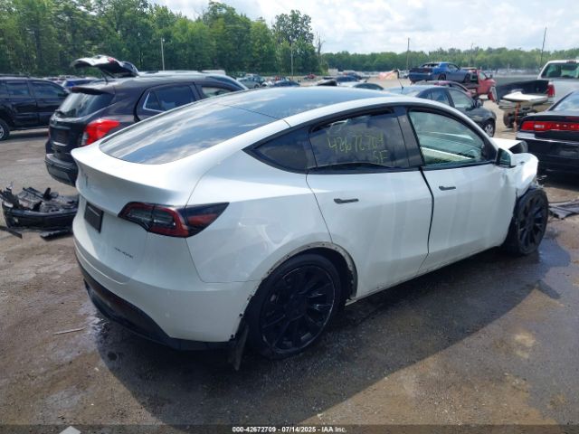 2023 TESLA MODEL Y 7SAYGAEE6PF709703 Photo 3