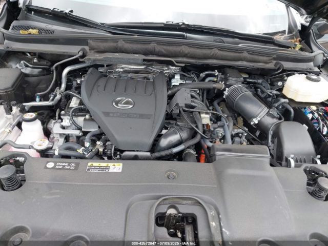 2024 LEXUS RX 500H 2T2BCMEA7RC016574 Photo 9