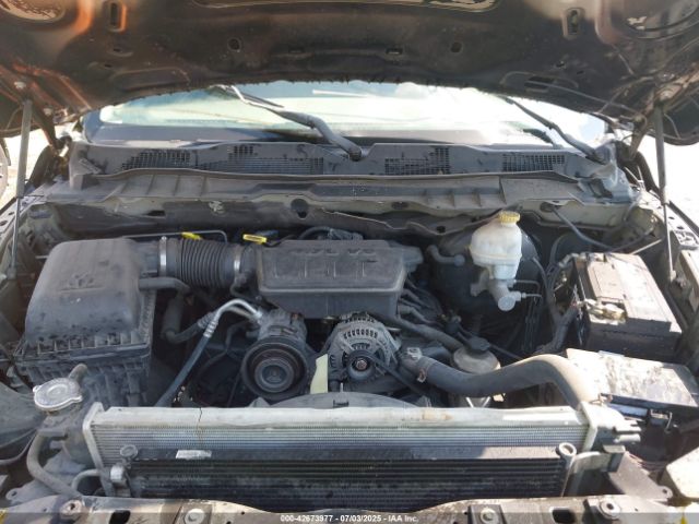 2010 DODGE RAM 1500 1D7RB1GP5AS214178 Photo 9