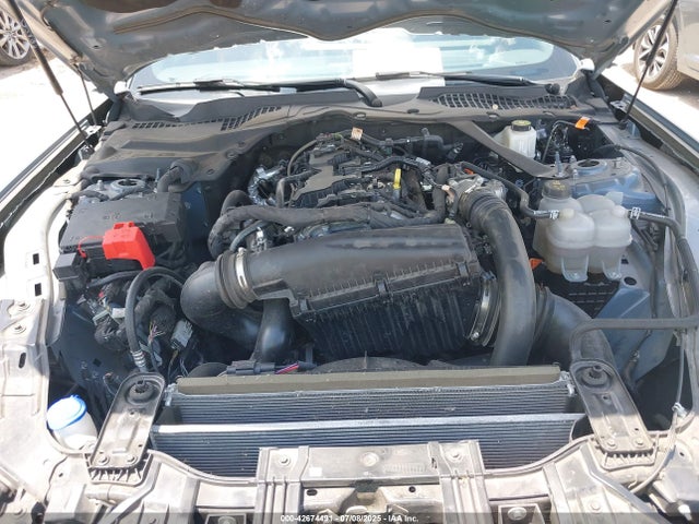 1FAGP8UHXR5131595 Ford 4v