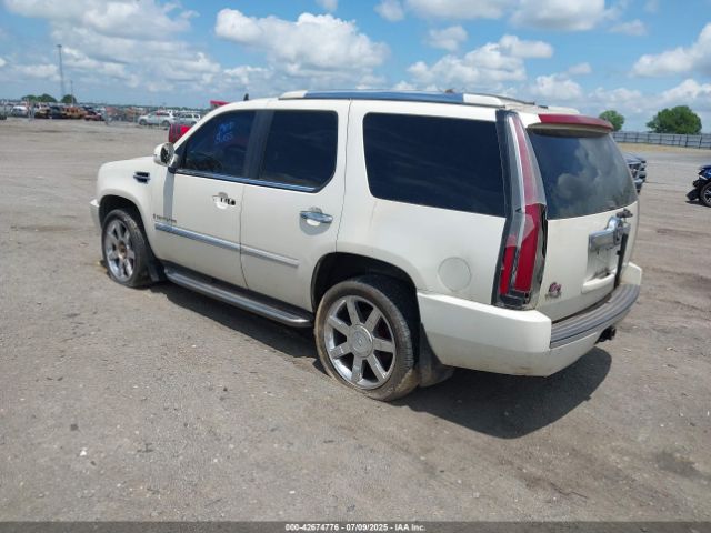 2007 CADILLAC ESCALADE 1GYEC63857R374038 Photo 2