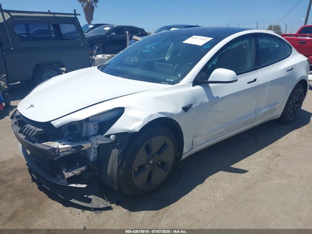 2021 TESLA MODEL 3 5YJ3E1EA1MF873558 Photo 1
