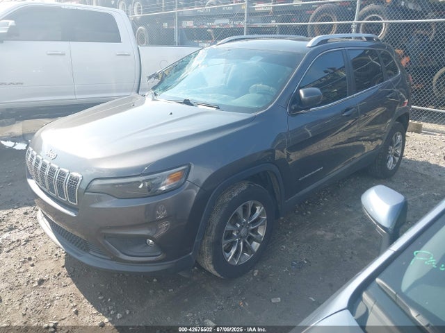 Jeep 2020 2020 1C4PJLLB4LD568694 Image 2