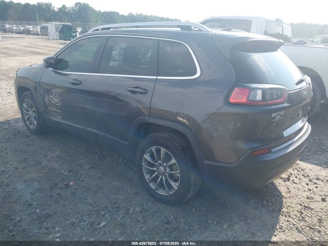 Jeep 2020 2020 1C4PJLLB4LD568694 Image 3