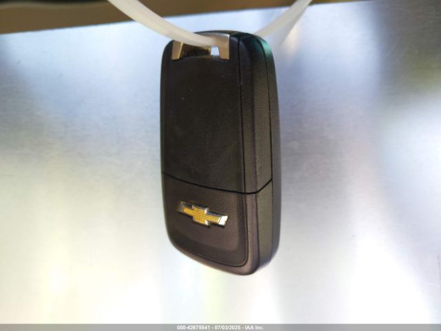 2013 CHEVROLET VOLT 1G1RH6E41DU119665 Photo 10