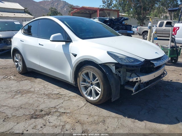 2021 TESLA MODEL Y 5YJYGDEE5MF096807 Photo 0