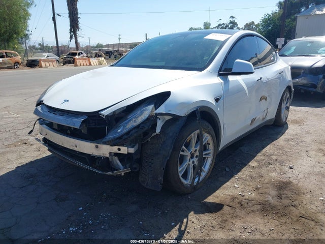 2021 TESLA MODEL Y 5YJYGDEE5MF096807 Photo 1