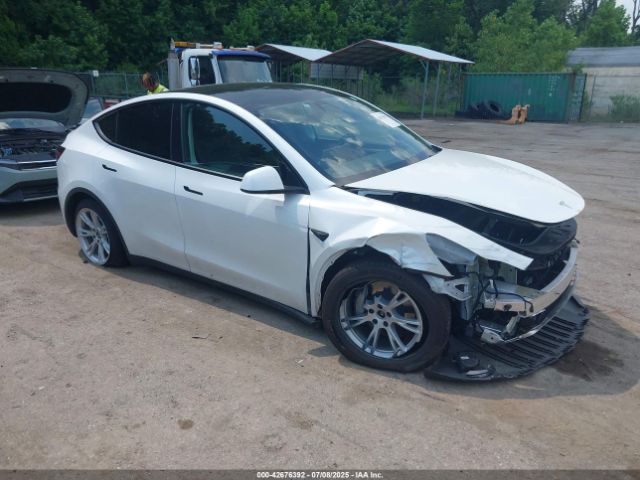 2023 TESLA MODEL Y 7SAYGAEE7PF802374 Photo 0