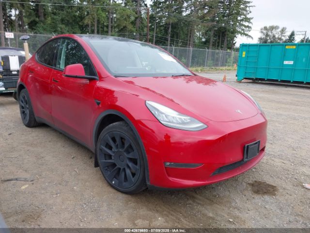 2022 TESLA MODEL Y 7SAYGDEE2NF429808