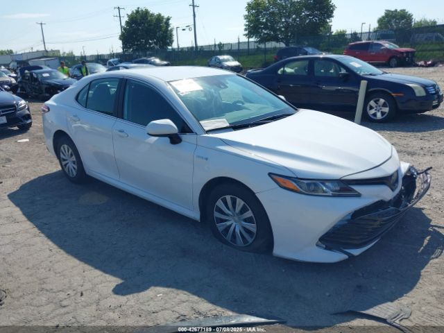 2020 TOYOTA CAMRY 4T1C31AK4LU539756
