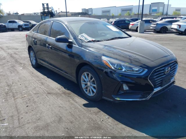 2019 HYUNDAI SONATA 5NPE24AF8KH749502