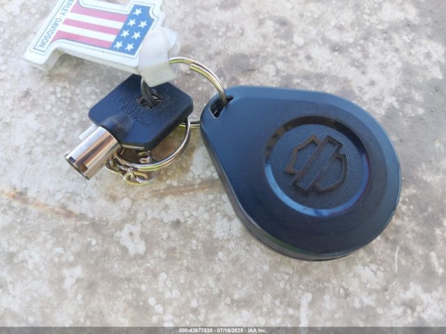 2021 HARLEY-DAVIDSON FLTRK 1HD1KZF19MB673915 Photo 10