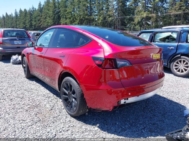 2024 TESLA MODEL Y 7SAYGAEE0RF983384 Photo 2