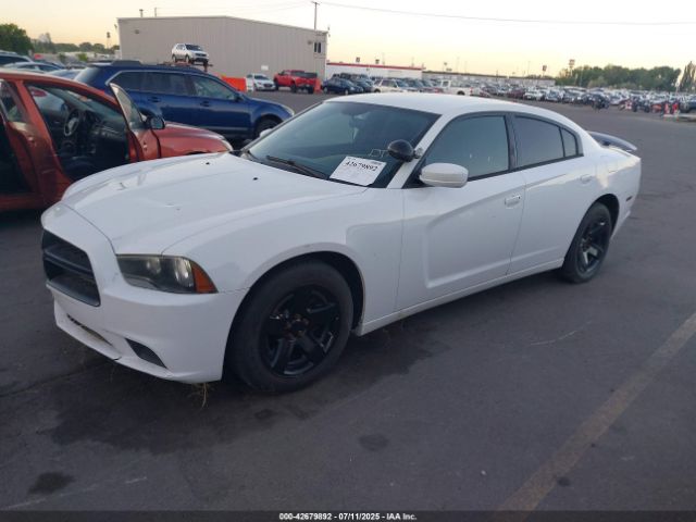 2013 DODGE CHARGER 2C3CDXAT1DH610451 Photo 1