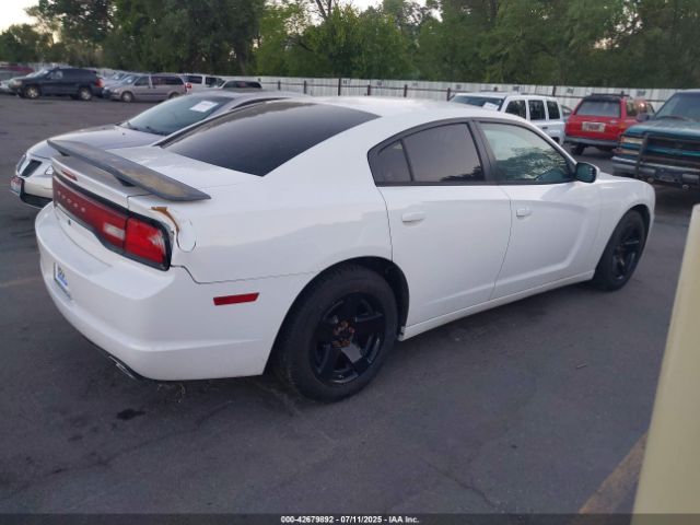2013 DODGE CHARGER 2C3CDXAT1DH610451 Photo 3