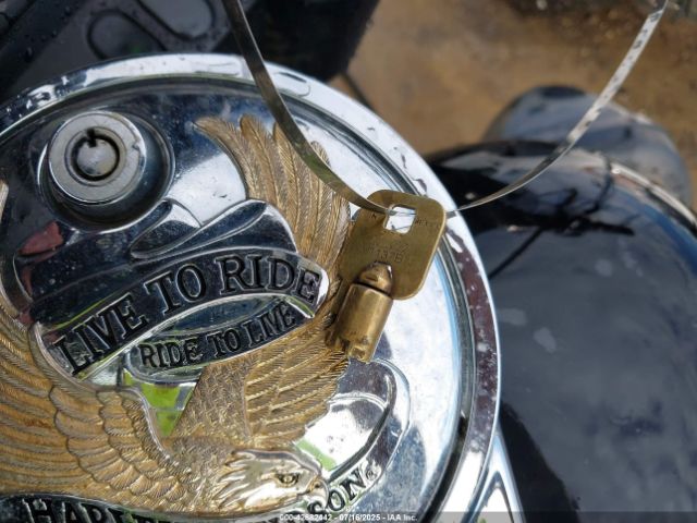 2002 HARLEY-DAVIDSON FLHT 1HD1DDV132Y656570 Photo 10