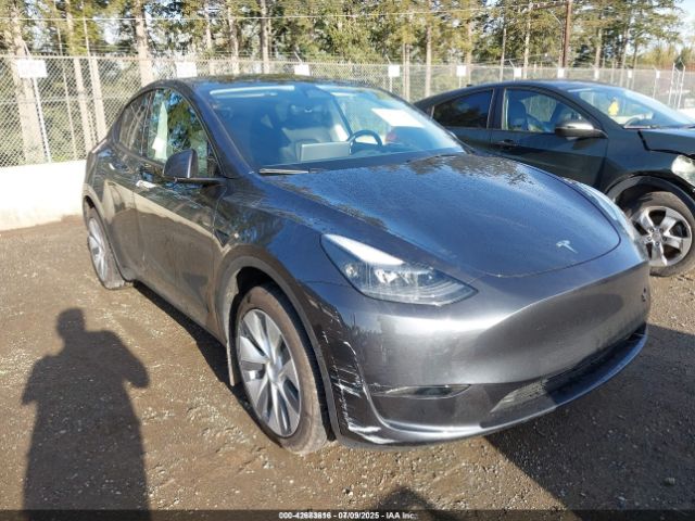 2024 TESLA MODEL Y 7SAYGDED1RF056306
