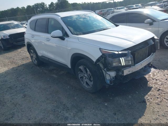 2023 HYUNDAI SANTA FE 5NMS24AJ1PH614955