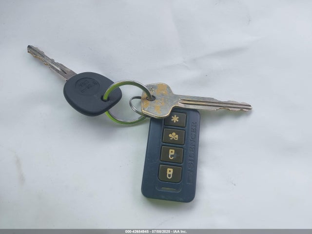 2006 CADILLAC SRX 1GYEE637160181454 Photo 10
