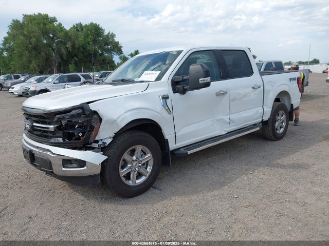 Ford F-150 Xlt 2024 1FTFW3L84RKD40555 Image 2