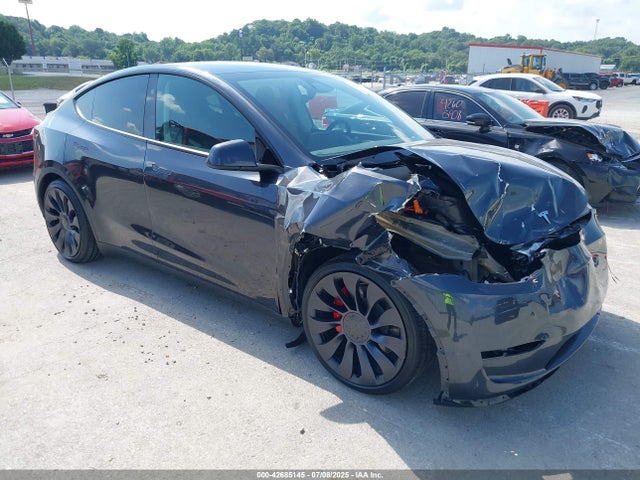 2025 TESLA MODEL Y 7SAYGDEF1SF309146 Photo 0