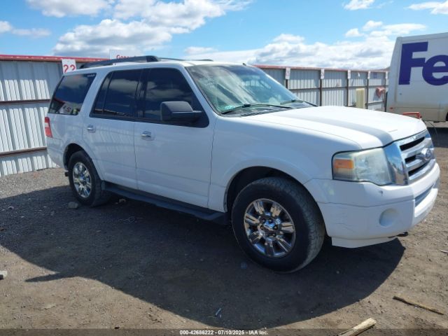 2010 FORD EXPEDITION 1FMJU1G59AEB48826