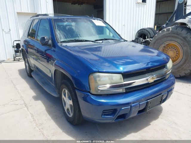 2006 CHEVROLET TRAILBLAZER 1GNDS13S462127417
