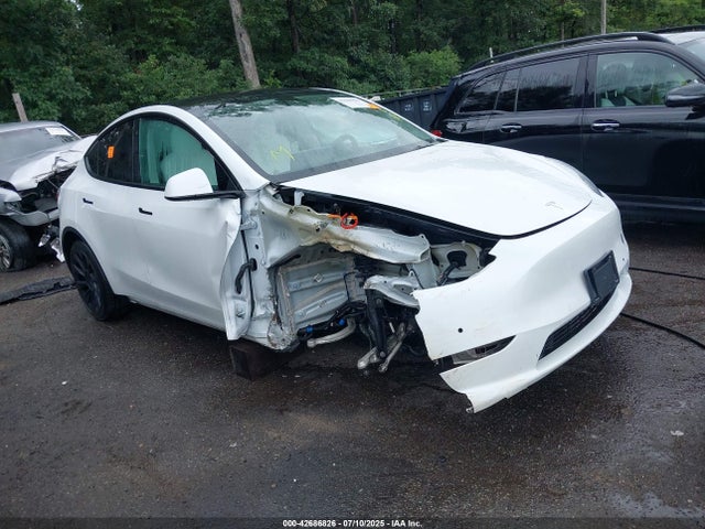 2021 TESLA MODEL Y 5YJYGDEE7MF304864 Photo 0