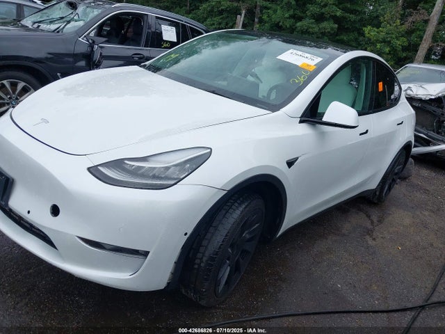2021 TESLA MODEL Y 5YJYGDEE7MF304864 Photo 1