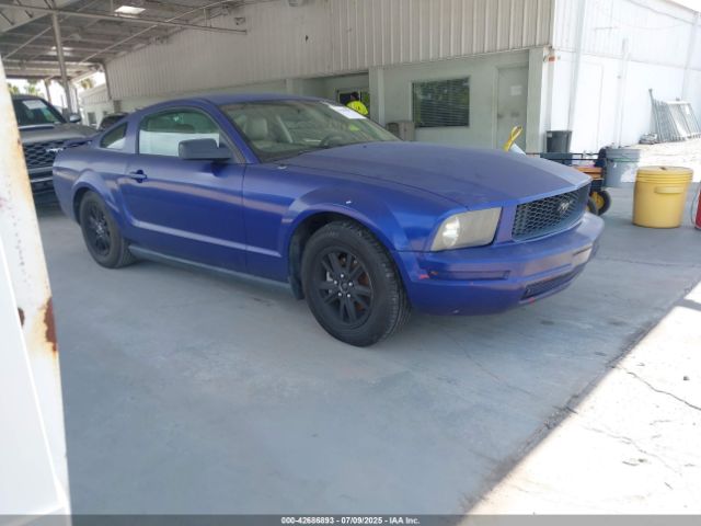 2005 FORD MUSTANG 1ZVFT80N655176666