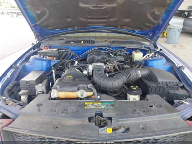 2005 FORD MUSTANG 1ZVFT80N655176666 Photo 9