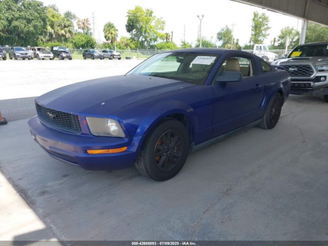 2005 FORD MUSTANG 1ZVFT80N655176666 Photo 1