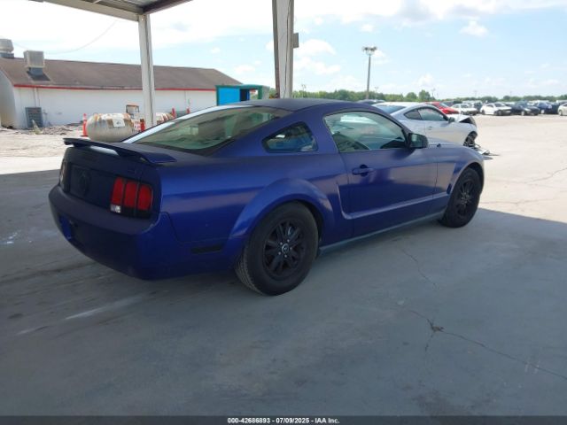 2005 FORD MUSTANG 1ZVFT80N655176666 Photo 3