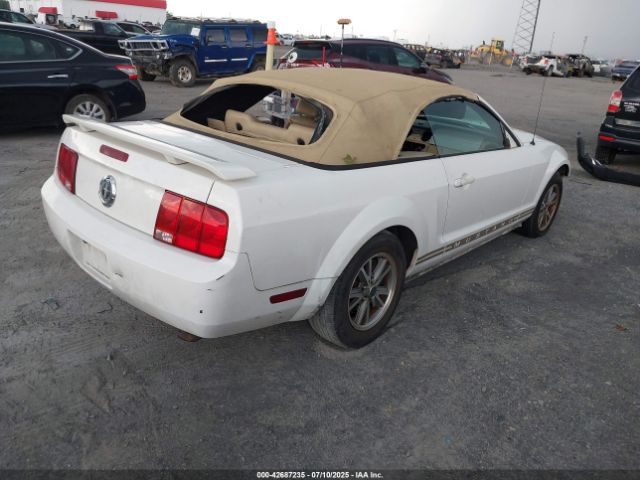 2005 FORD MUSTANG 1ZVFT84N755253121 Photo 3