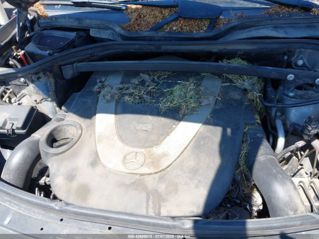 2010 MERCEDES-BENZ GL 450 4JGBF7BE0AA559368 Photo 9
