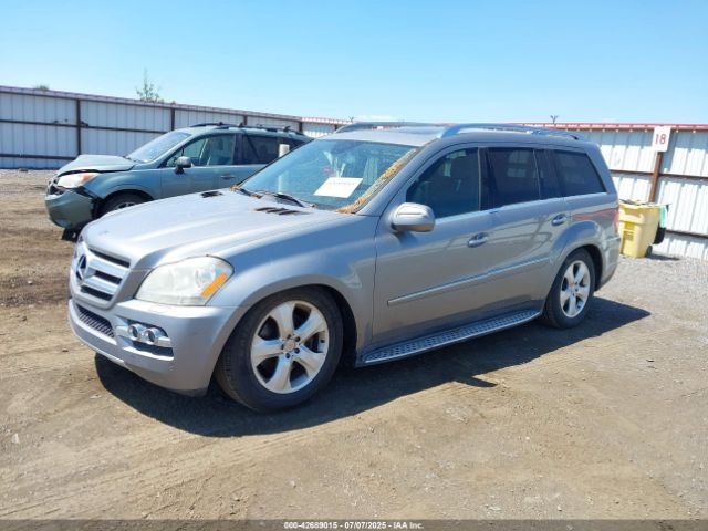 2010 MERCEDES-BENZ GL 450 4JGBF7BE0AA559368 Photo 1