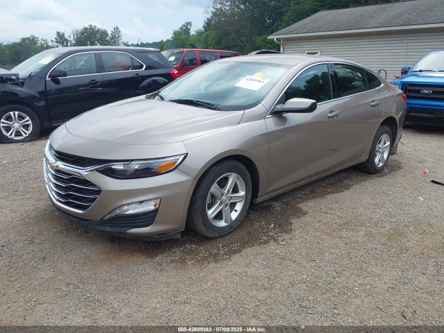 1G1ZD5ST1PF189502 Chevrolet lfv