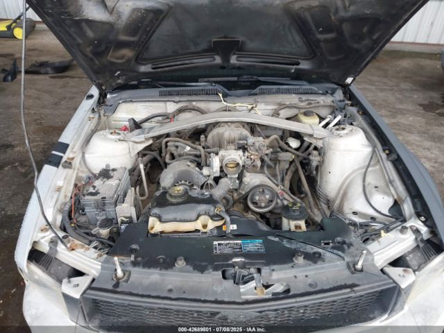 2005 FORD MUSTANG 1ZVFT80N955114839 Photo 9