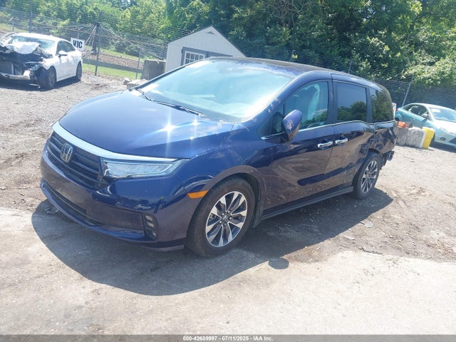 Honda j35y7 2024 5FNRL6H61RB000002 Image 2