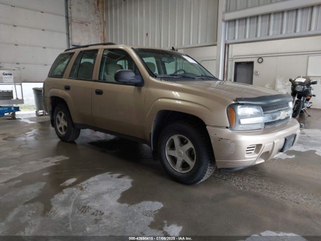 2006 CHEVROLET TRAILBLAZER 1GNDT13S962187495