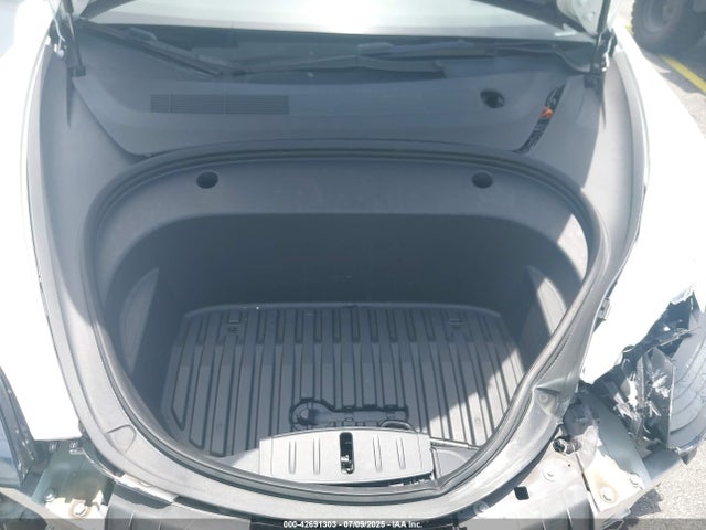 2023 TESLA MODEL 3 5YJ3E1EA4PF572819 Photo 9