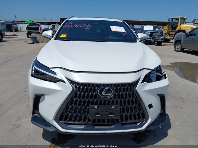 42691674 :رقم المزاد ، 2T2GDCAZ4RC014130 vin ، 2024 Lexus Nx 250 Premium مزاد بيع