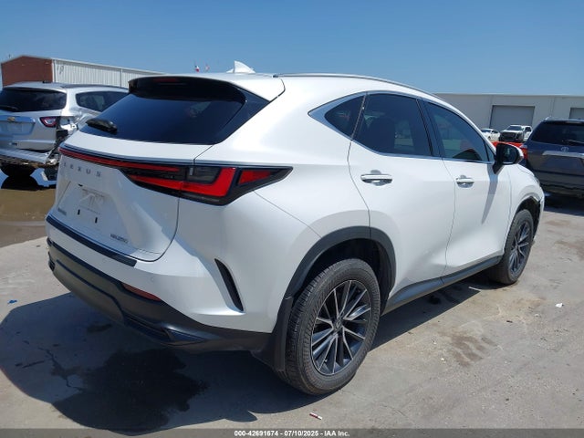 42691674 :رقم المزاد ، 2T2GDCAZ4RC014130 vin ، 2024 Lexus Nx 250 Premium مزاد بيع