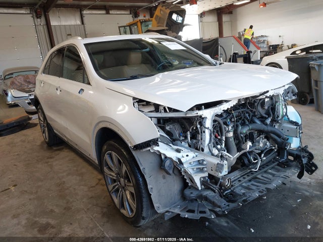 2019 CADILLAC XT4 1GYFZDR44KF183376 Photo 0
