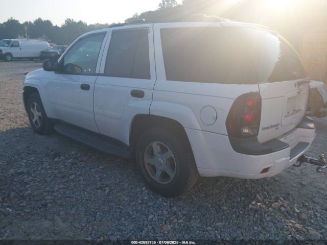 2006 CHEVROLET TRAILBLAZER 1GNDS13S862182002 Photo 2