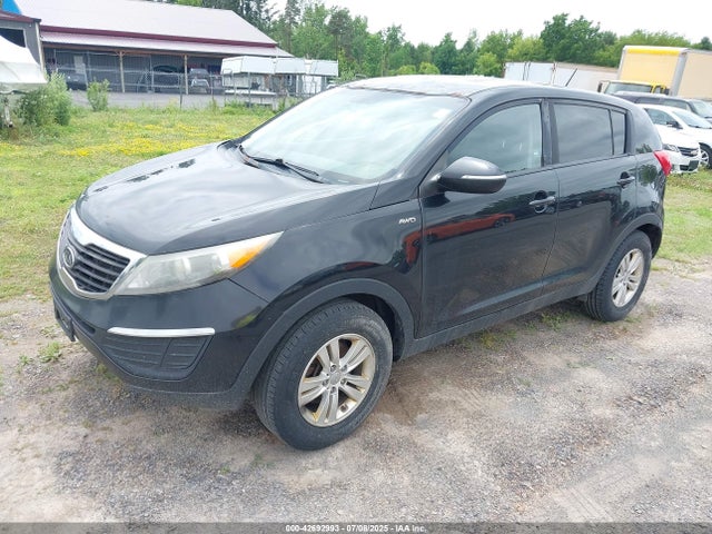 Продаж на аукціоні авто 2011 Kia Sportage Lx, vin: KNDPBCA27B7081079, номер лоту: 42692993